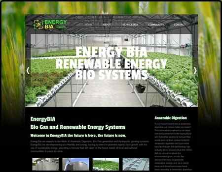 Archived Blade Web Designs project screenshot: Energy BIA