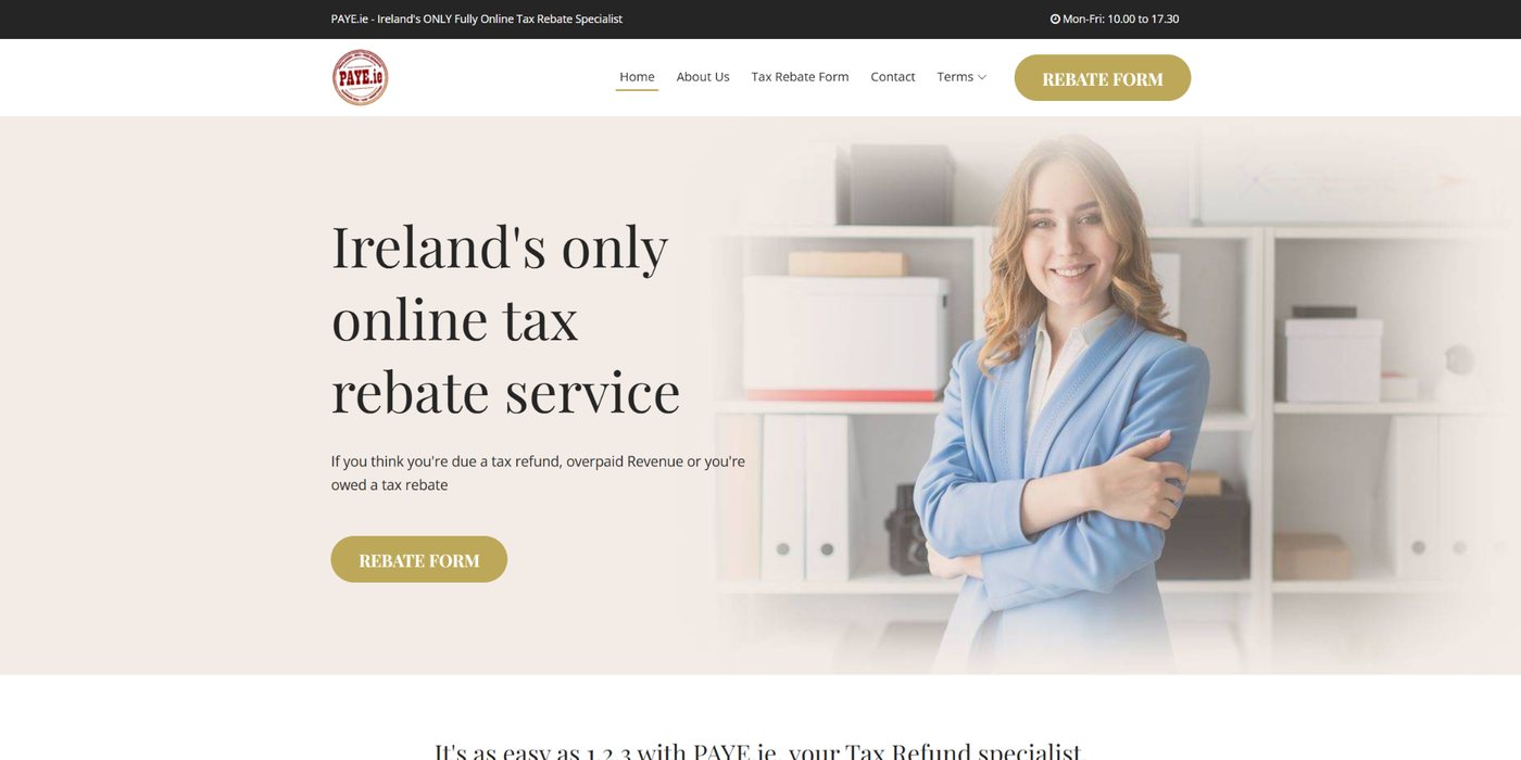 Blade Web Designs project screenshot: PAYE.ie